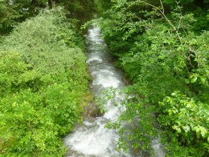 2016-06-05--14_34_53--Panasonic_DMC-FH25