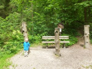 2016-06-13--13_28_57--Panasonic_DMC-FH25