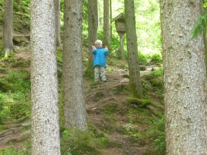 2016-06-13--14_04_19--Panasonic_DMC-FH25