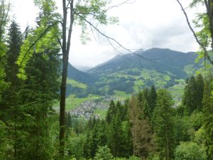 2016-06-13--14_08_58--Panasonic_DMC-FH25