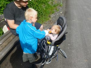 2016-06-13--17_00_38--Panasonic_DMC-FH25