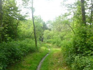 2016-06-13--17_08_36--Panasonic_DMC-FH25