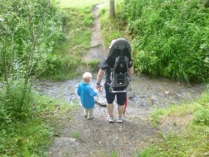 2016-06-13--17_09_55--Panasonic_DMC-FH25